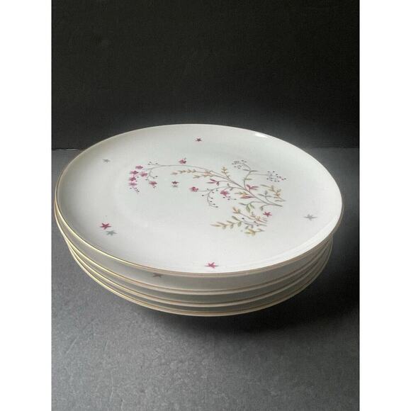 Eschenbach Bavaria Germany Clarice Baronet China Vtg. Luncheon/Salad Plate (4)